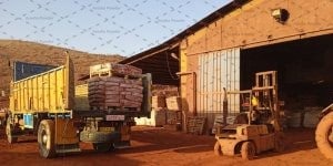 تولید کننده پیگمنت اخرا شاهسون