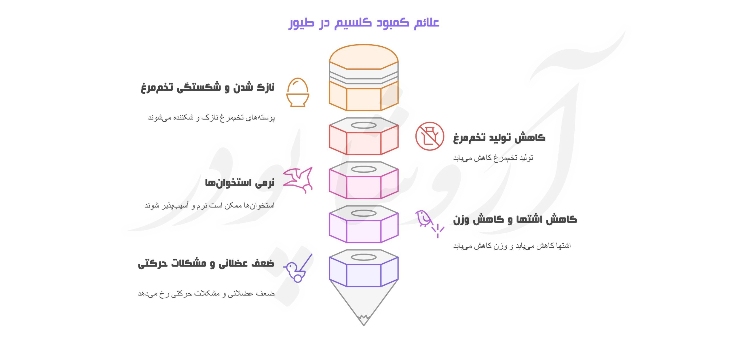 کربنات کلسیم مرغ و دام و طیور